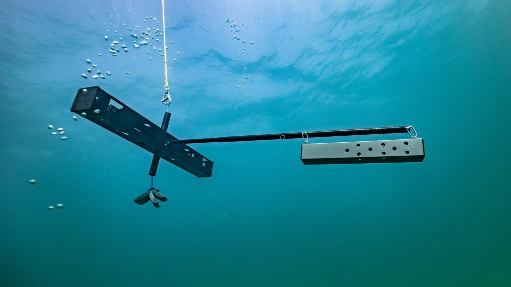 Imagery data from baited remote underwater video systems (BRUVS) are